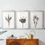 Encre botanique croquis II-457479929-457479932