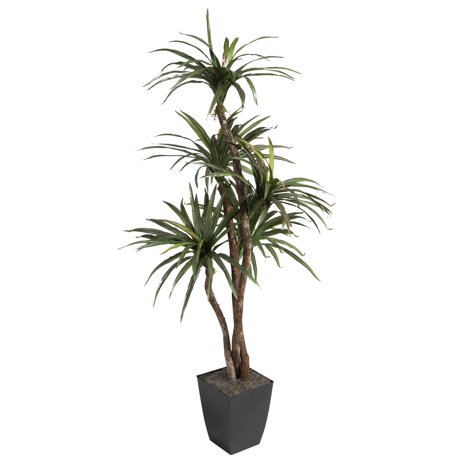 72'' Faux Dracaena Tree in Metal Planter