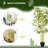 47.2'' Faux Bamboo Tree in Cement Pot