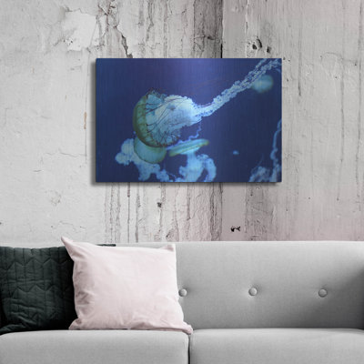 " Jelly " by PhotoINC Studio
