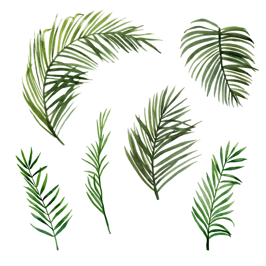 Green Palm Leaves Set von Yelena Shkurskaya - Leinwanddrucke