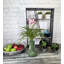 Ensemble de 3 plantes artificielles dans un vase