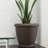 Pot Planter