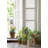 Classico Window Film 24" x 36"