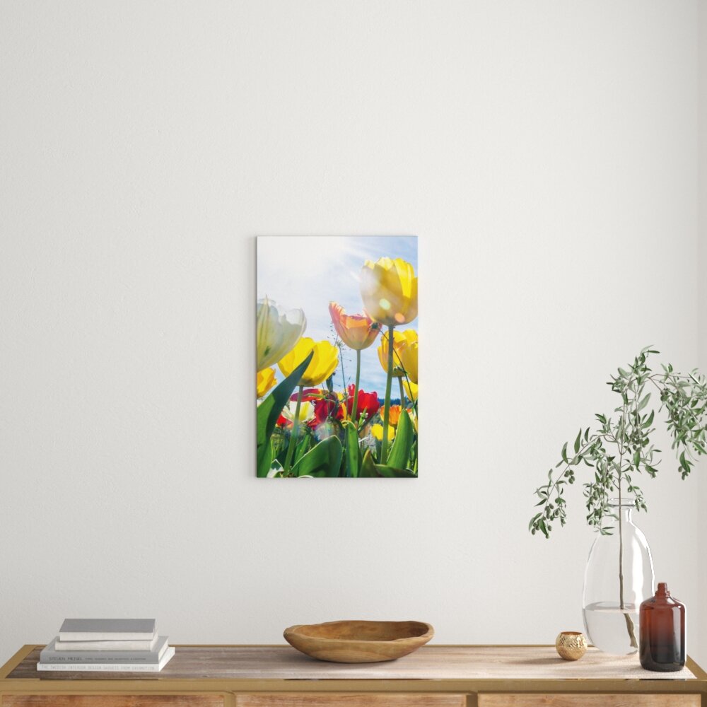 Leinwandbild Blumenwiese Froschperspektive, Fotodruck