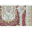 Aubusson Hand Knotted Wool Oriental Area Rug