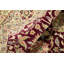 Oriental Area Rug
