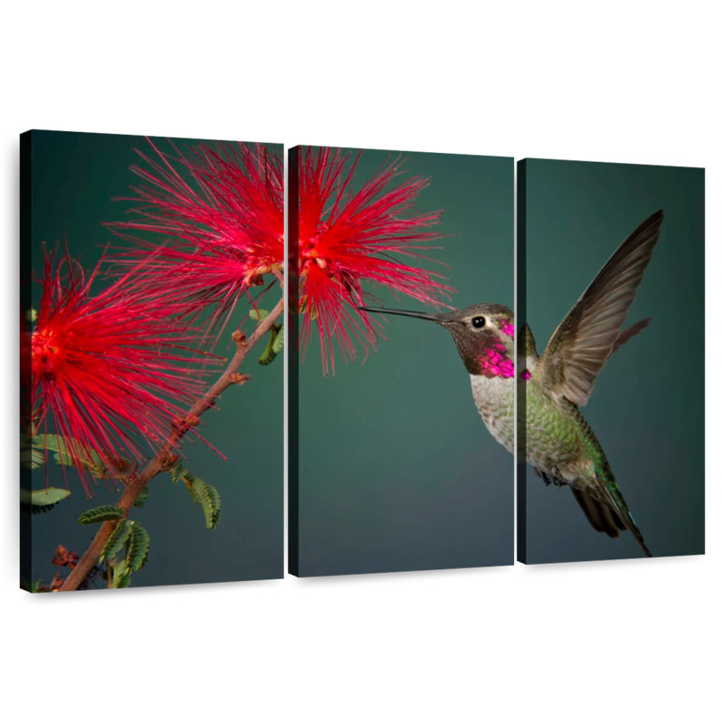 Colibri et fleur, H 14 po x l 23 po