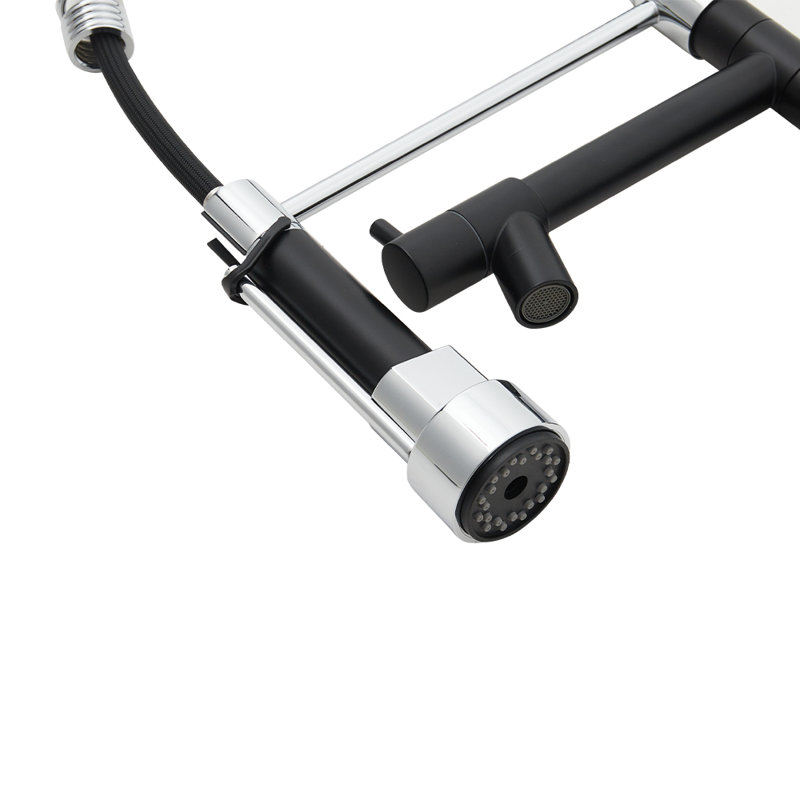 Belfry Kitchen Lippencott Pull Down Kitchen Faucet, Chrome/Black