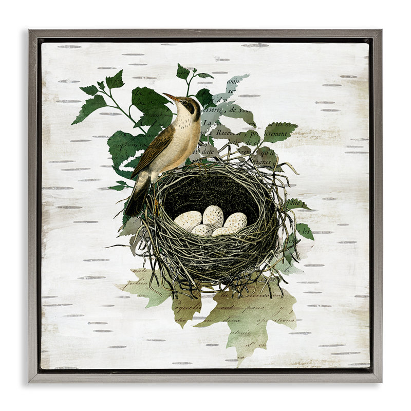 Cadre flottant rétro nid d'oiseau et fleur, design par Susan Arnot, H 18 po x l 18 po, Cadre flottant gris lustré