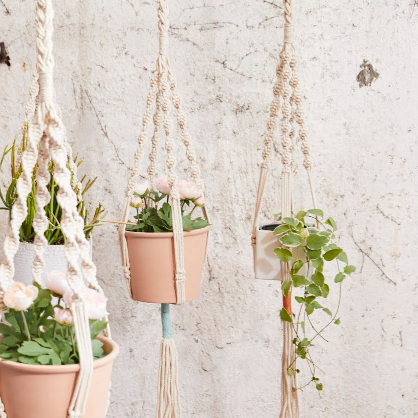 Pillowpia Trina Plant Hanger, Sea Glass