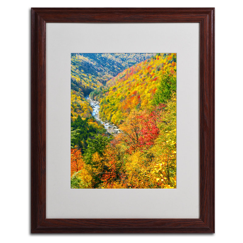 « valley » par cateyes mat, reproduction de photo encadrée, H 20 po x l 16 po x P 0,5 po, Brun