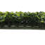 Tapis de buis artificiel vert 50 po