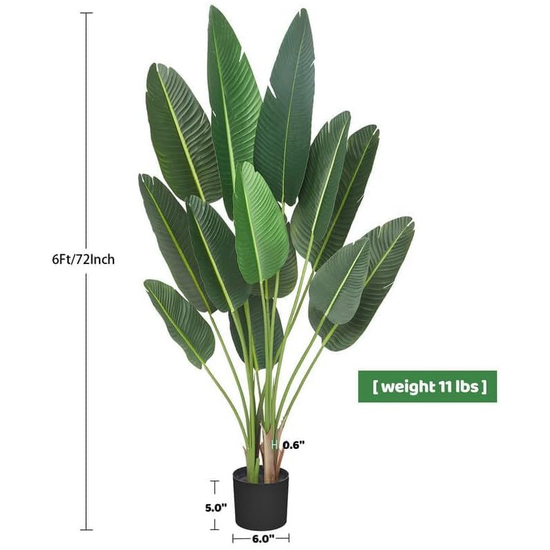 Plant, 216.1 cm x 60.04 cm
