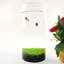 Terrarium en acrylique Eco