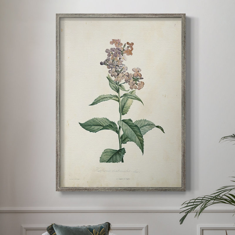 Traditional Botanical II Framed Print - Solid Wood, 15" H x 12" W