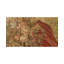 Wool Area Rug
