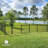 Fencer Wire Heavy Duty 4/ 5/ 6FT H X 4FT W Flat Top X-Pattern Decorative Fence Gate with Gate Lock-110090195