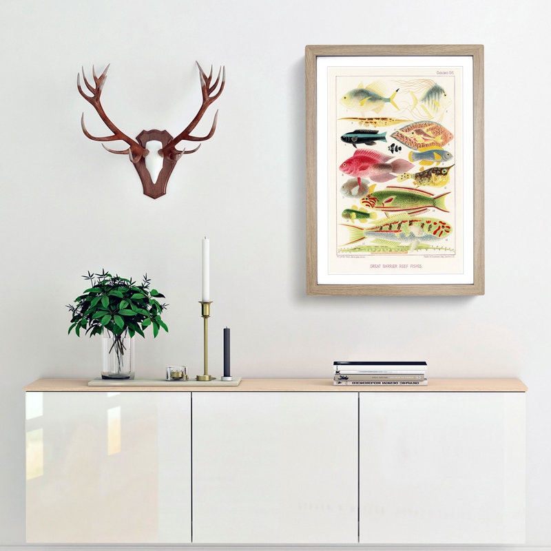 Great Barrier Reef Fishes XVI by W. Saville-Kent - Picture Frame Painting Print, 65cm H x 48cm W x 2cm D, Oak Framed