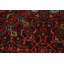 Tapis de couloir traditionnel en laine rétro 3 x 10