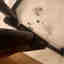 Customer photo 2 of 2