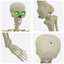  Halloween Skeleton White Plastic