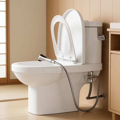 Single Mode Bidet Sprayer With 59" Hose