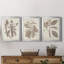 Antique sépia botanicals vii - ensemble de 3 peintures sur toile encadrées-1859238282-1859238281