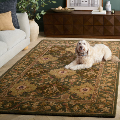 Dunbar Hand Tufted Wool Oriental Rug
