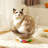 Cozy Acrylic Space Capsule Cat Bed