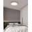 Hildegunde LED Flush Mount