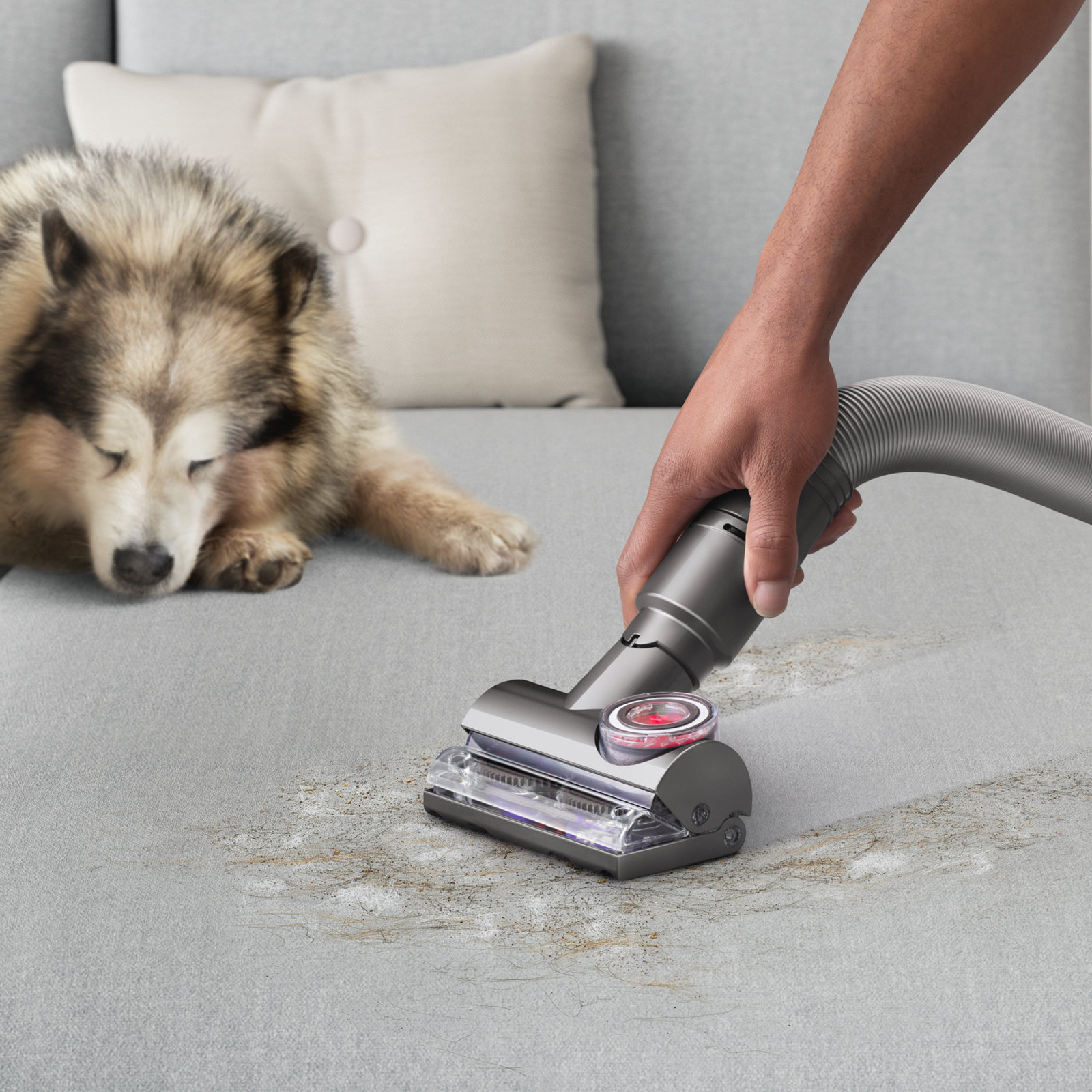 Dyson Ball Animal 3 Extra Upright Vacuum