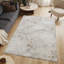 Pavillon de jardin géométrique en métal 10 po X 10 pi 6 po Tapis-2145067634
