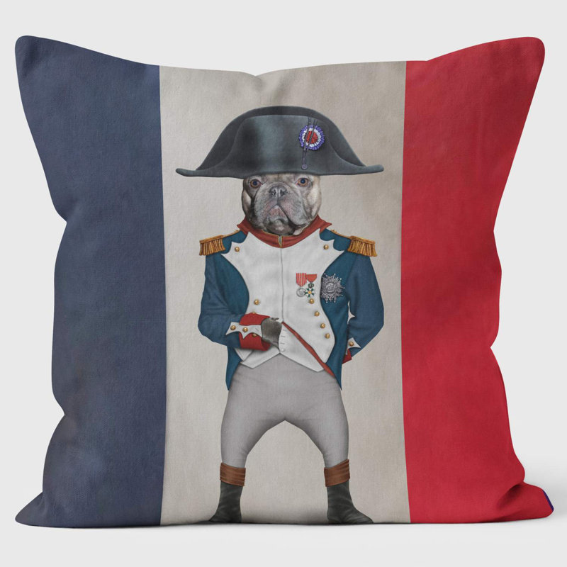 Napoleon Flag - Pets Rock Cushion