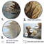 Lazy Walrus Habitat I - Morse, reproduction d'art mural-97047903-97047900