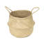 Bay Isle Home Feddalat Wicker Box-24855420-24855423