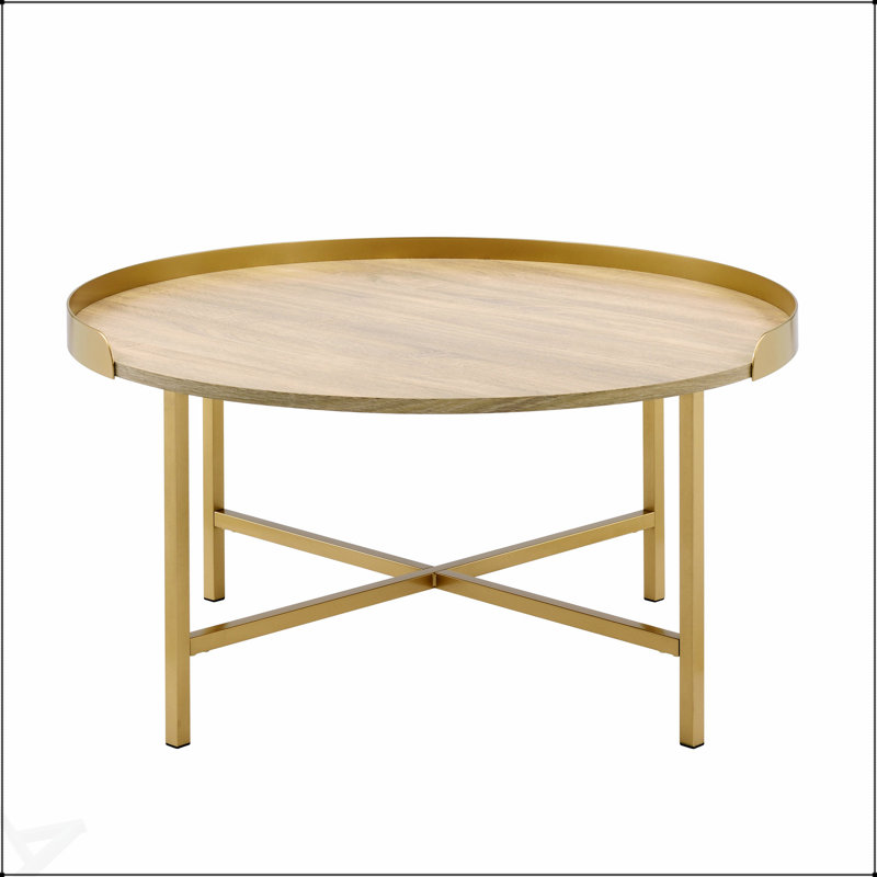 Table basse moderne Modern Aesthetic avec finition dorée et plateau de style plateau pour des salons élégants