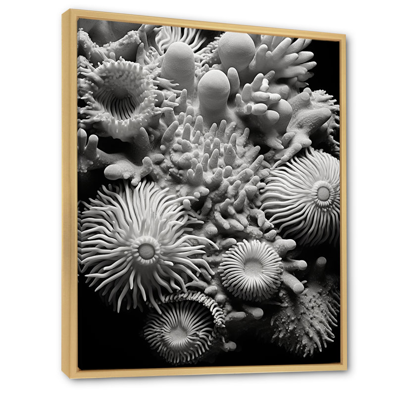 Ocean Coral Anemone Parade - Beach & Ocean Canvas Print, H 40 po x l 30 po, Cadre naturel flottant