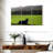 Brampt Dog Counting Sheep-108151051