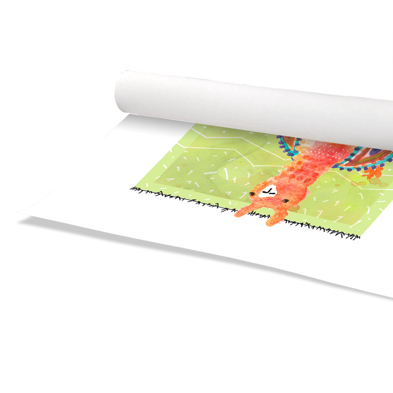 «Rolled Lovely Llama I», impression sur papier, H 36 po x l 24 po x P 1 po