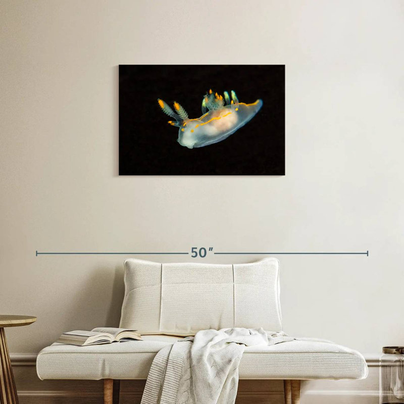 Sea Slug In Dark Waters, 20" H x 30" W