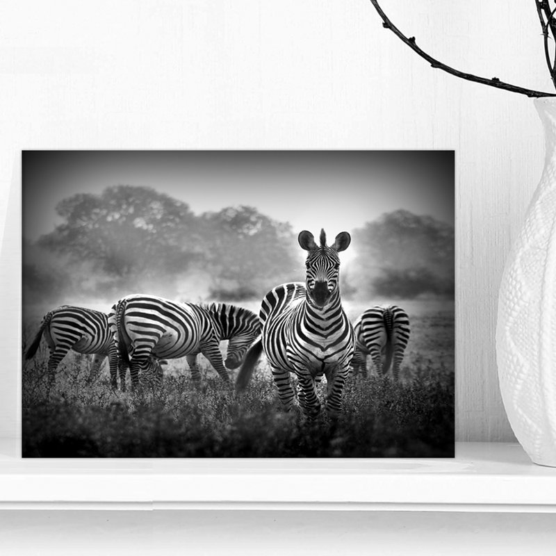Zèbre en noir et blanc - reproduction de photo, Toile tendue, H 8 po x l 12 po x p 1 po