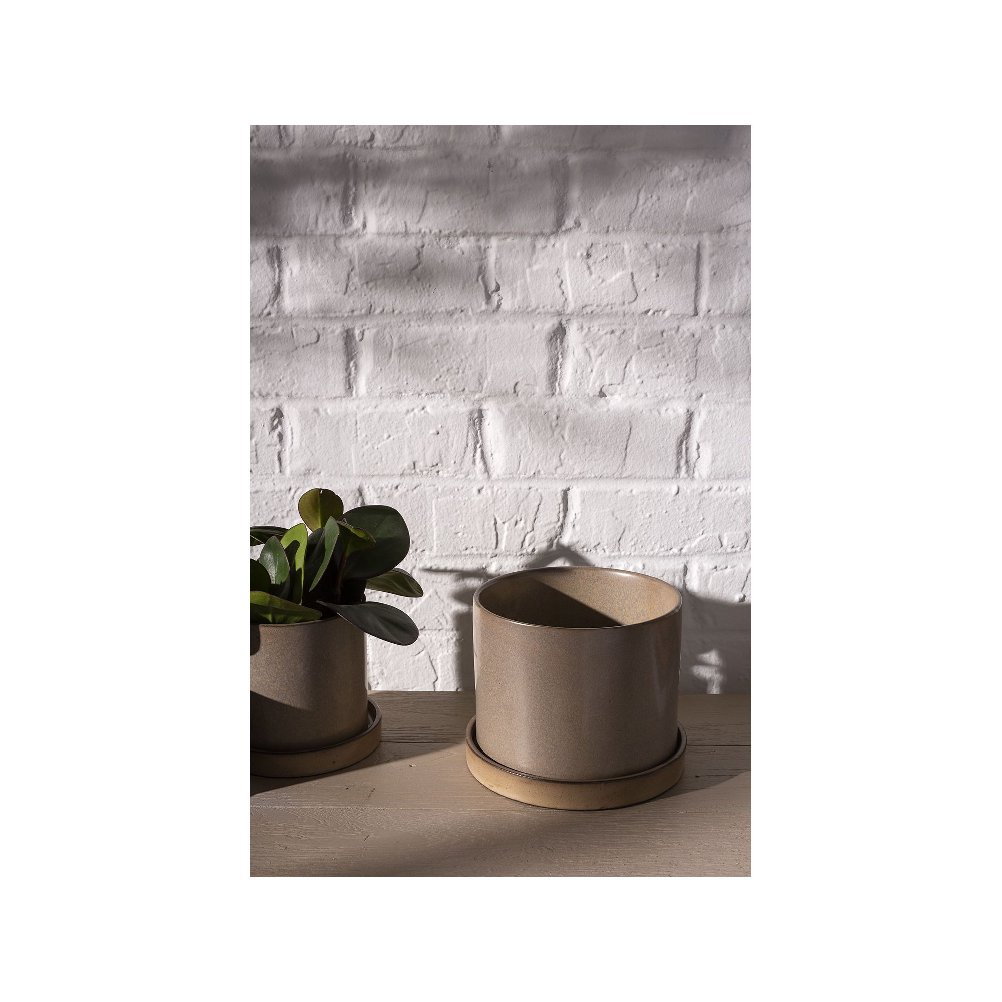 Tyron Ceramic Pot Planter, Tan, 7" H x 6.5" W x 6.5" D