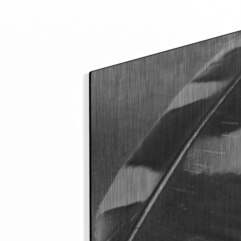 «Feather Shadow I» par Debra Van Swearingen, H 36 po x l 24 po