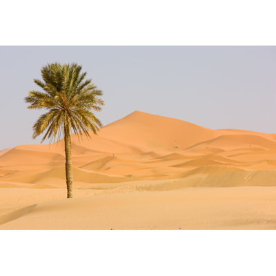 Sohil " Sahara Desert " by Skafrica