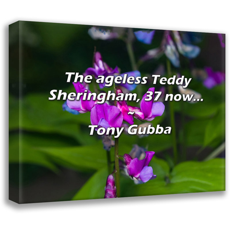Citation artistique «The ageless Teddy Sheringham, 37 maintenant ...» par Tony Gubba, toile tendue avec châssis