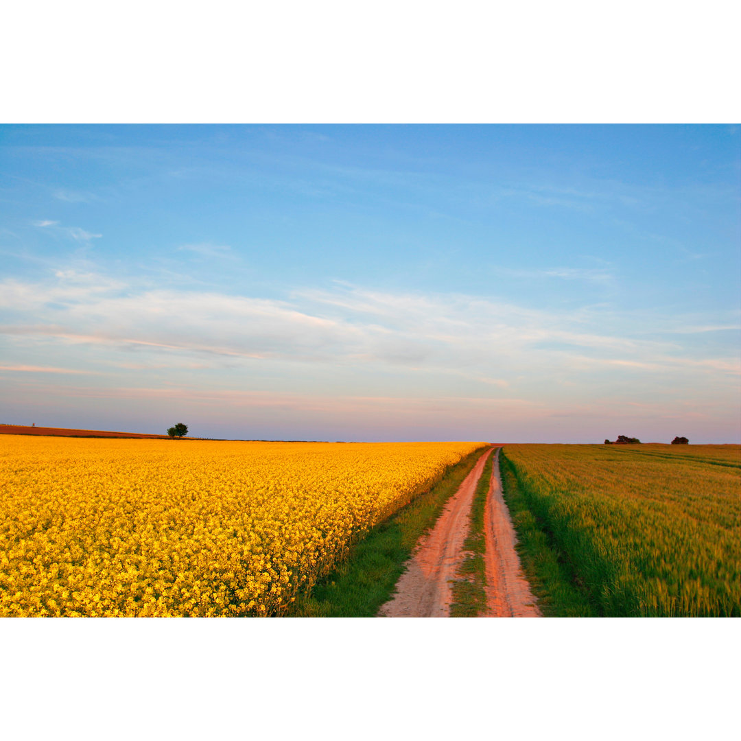 Golden Field von AVTG - Kunstdrucke auf Leinwand