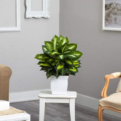 24'' Faux Dieffenbachia Plant in Metal Planter