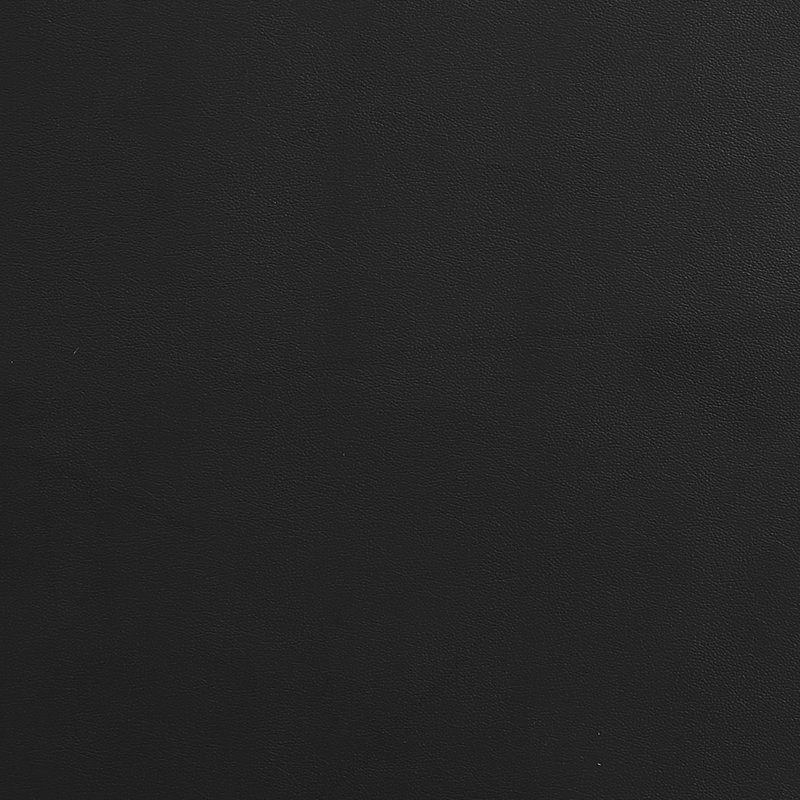 Fauteuil en cuir véritable Henton, Noir