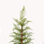 Ensemble de 2 décorations de Noël artificielles préilluminées de 120 cm avec support en polyéthylène et pot.